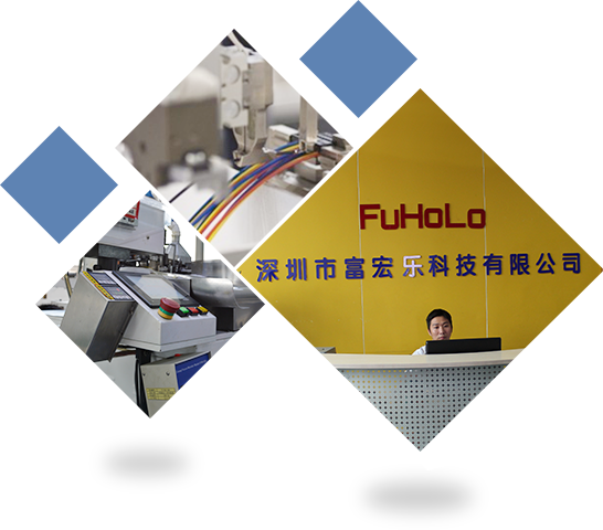 Shenzhen Fuhongle Technology Co., Ltd.